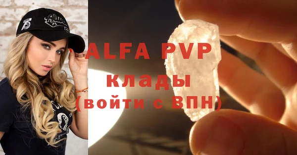 Альфа ПВП Горно-Алтайск