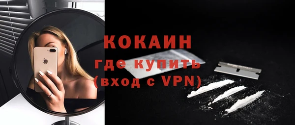 индика Володарск