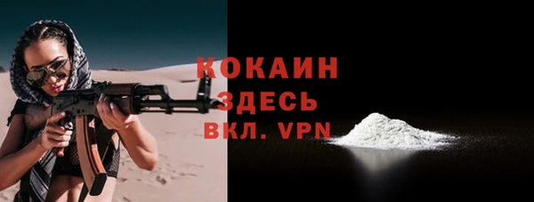 индика Володарск