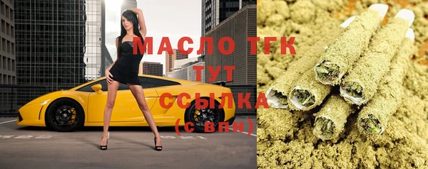 индика Володарск