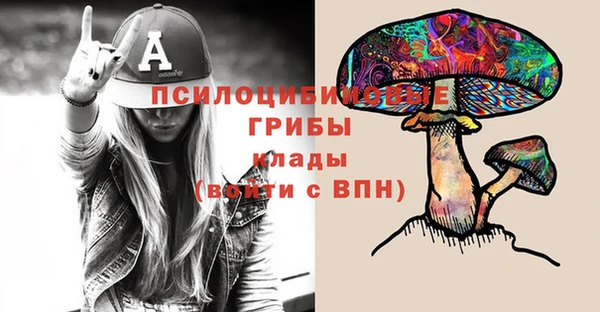 индика Володарск