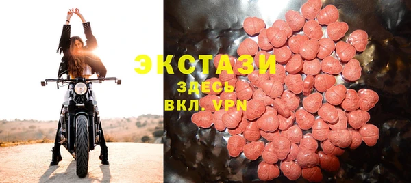 индика Володарск