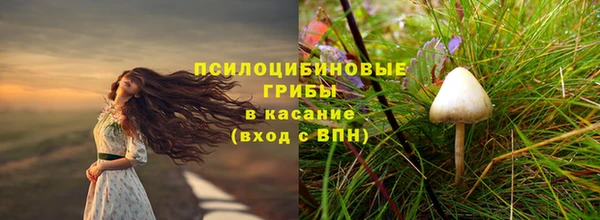 сатива Волоколамск