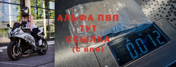 сатива Волоколамск