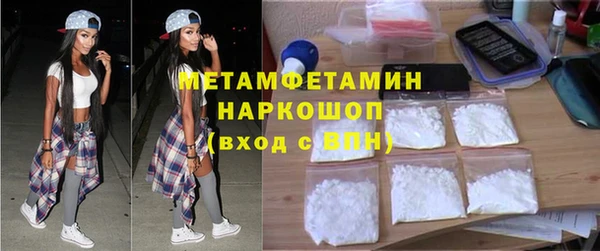 сатива Волоколамск