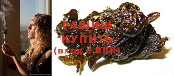 индика Володарск
