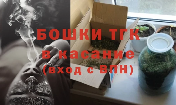 сатива Волоколамск