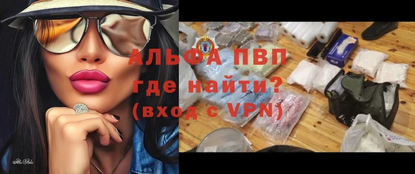 индика Володарск