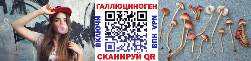 Псилоцибиновые грибы прущие грибы  Дигора 