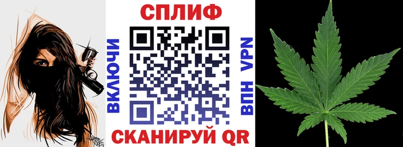 Каннабис семена  купить наркотик  MEGA как войти  Дигора 